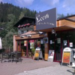 Leoni bar